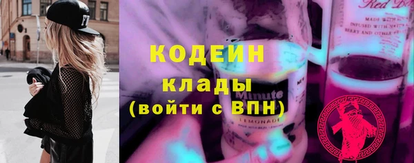 крисы Мегион