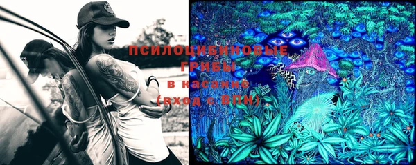 сатива Медвежьегорск