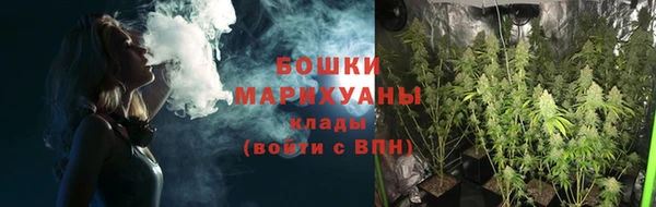 сатива Медвежьегорск