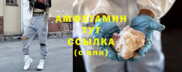 крисы Мегион