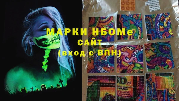 крисы Мегион