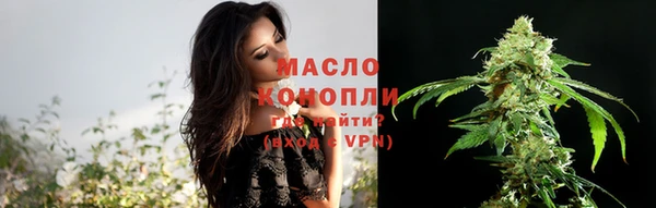 крисы Мегион