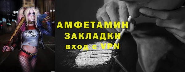 крисы Мегион