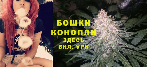 крисы Мегион
