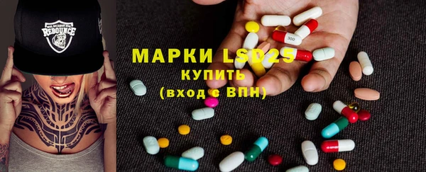 сатива Медвежьегорск