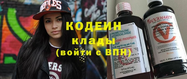 крисы Мегион