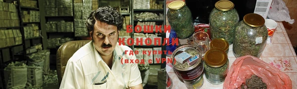 крисы Мегион