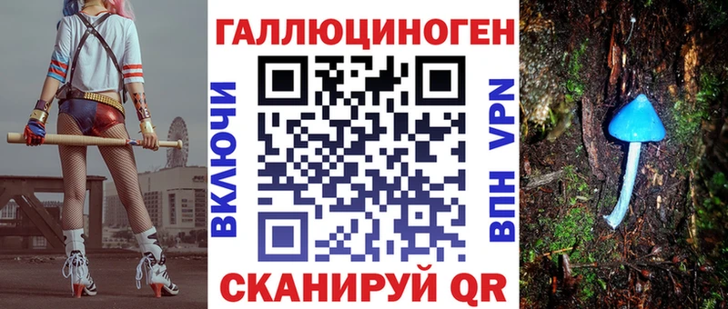 Купить  Нарткала  Псилоцибиновые грибы Psilocybe 