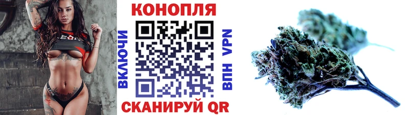 Купить где  Нарткала  Каннабис планчик 